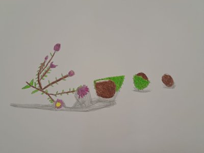 Zajęcia plastyczne 30.09.23